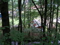 033_Card1_SANY0056.JPG
