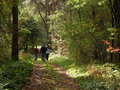 20071013_124726_SANY0025.JPG