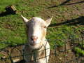 20071013_154858_SANY0047.JPG