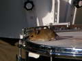 20071013_155722_SANY0060.JPG