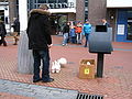 20080329_105045_cw.jpg