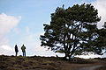IMG_1921.JPG