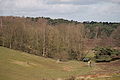 IMG_1925.JPG
