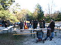 20071216_123459_cw.jpg
