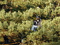 20071216_131057_bl_SANY0007.JPG