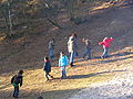 20071216_131127_bl_SANY0010.JPG