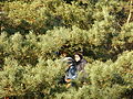 20071216_131218_bl_SANY0012.JPG