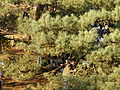 20071216_131230_bl_SANY0013.JPG