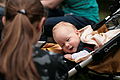 2008-05-24 16-53-20 - IMG_2635.jpg