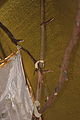 2008-05-25 06-00-54 - IMG_2665.jpg