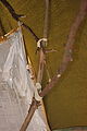 2008-05-25 06-01-17 - IMG_2666.jpg
