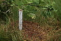 2008-05-25 09-25-56 - IMG_2674.jpg
