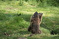 IMG_2421.JPG