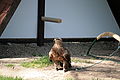 IMG_2428.JPG