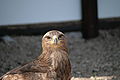 IMG_2430.JPG