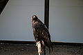IMG_2431.JPG