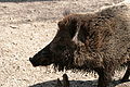 IMG_2444.JPG