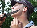 20080725_183508_jl_Afbeelding_069.jpg