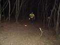 20080725_223403_jl_Afbeelding_075.jpg