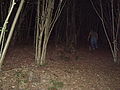 20080725_223502_jl_Afbeelding_076.jpg