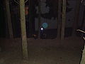 20080725_223646_jl_Afbeelding_077.jpg