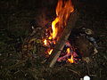 20080725_232432_jl_Afbeelding_082.jpg