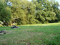 20080728_193649_jl_Afbeelding_166.jpg