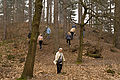 IMG_4557.jpg
