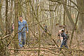 IMG_4560.jpg