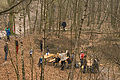 IMG_4566.jpg