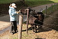 IMG_4526.jpg