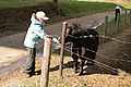 IMG_4527.jpg