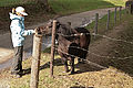 IMG_4528.jpg