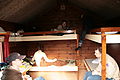 IMG_4536.jpg