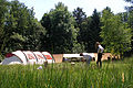20090613_1430_SANY0162.jpg