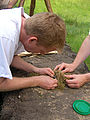 20090613_1611_SANY0168.jpg