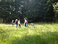20090613_1753_PICT0111.jpg
