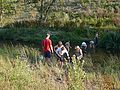 20100724_1841_P1010745.jpg