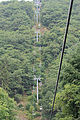 20100729_1044_IMG_7767.jpg