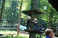 20100729_1352_IMG_7886.jpg