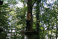 20100729_1431_IMG_8016.jpg