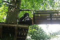 20100729_1431_IMG_8020.jpg