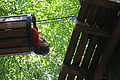20100729_1433_IMG_8044.jpg