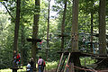 20100729_1459_IMG_8091.jpg