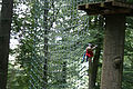 20100729_1508_IMG_8120.jpg
