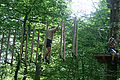 20100729_1510_IMG_8132.jpg