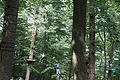 20100729_1511_IMG_8163.jpg