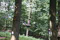 20100729_1511_IMG_8171.jpg