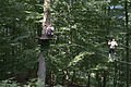 20100729_1512_IMG_8182.jpg