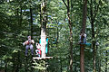 20100729_1512_IMG_8190.jpg